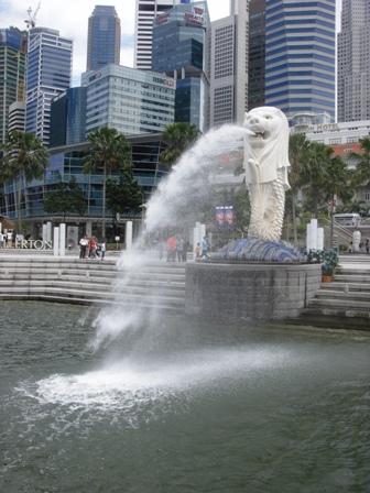 SDC11558.JPG